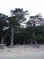 Patagonie 114